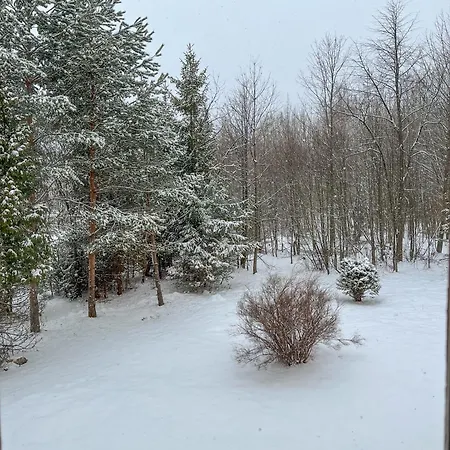 Slnecny 2-izbovy Pod Lesom, Dolny Smokovec Vysoke Tatry